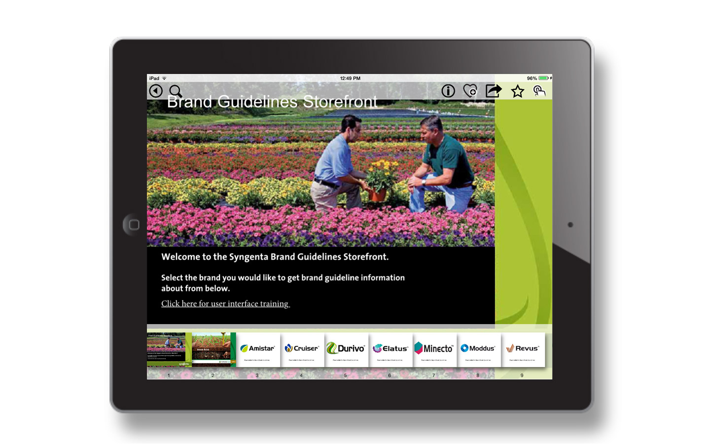 Main brand store front end navigation and design