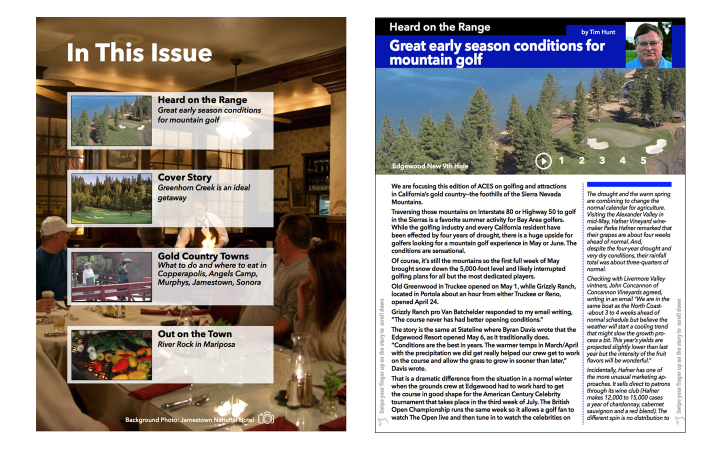Design features, UI/UX, look and feel.