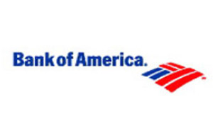 Bank of America: 5 year website brand vision and design