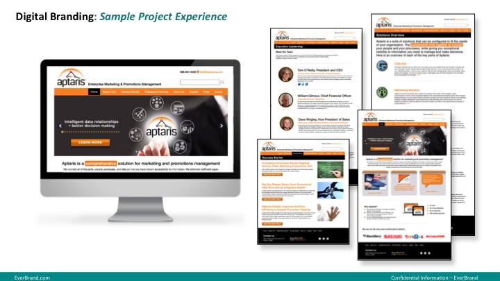 Aptaris Website