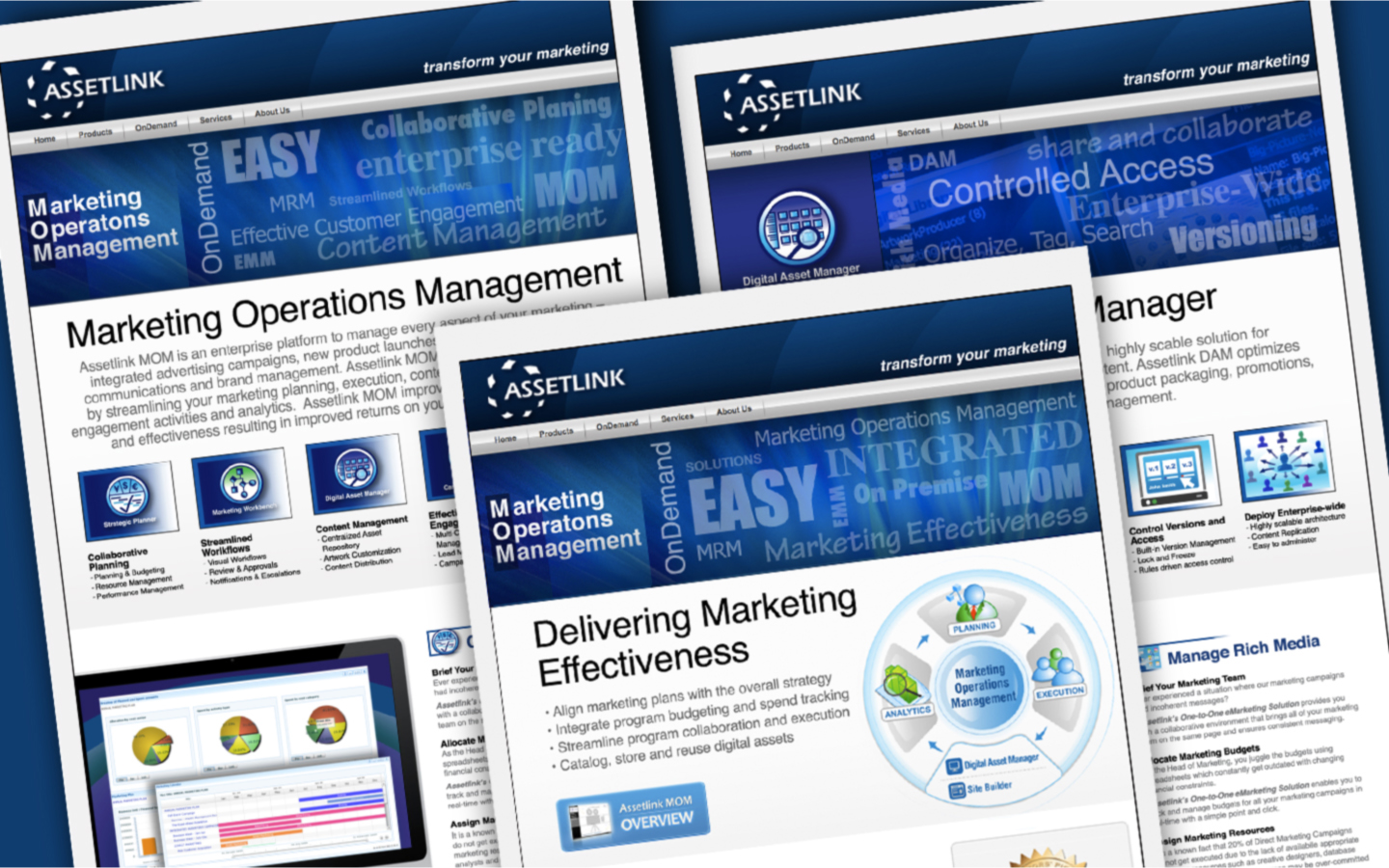 Website content and design transition plan was developed.